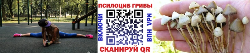 Галлюциногенные грибы прущие грибы  наркотики  Чита 