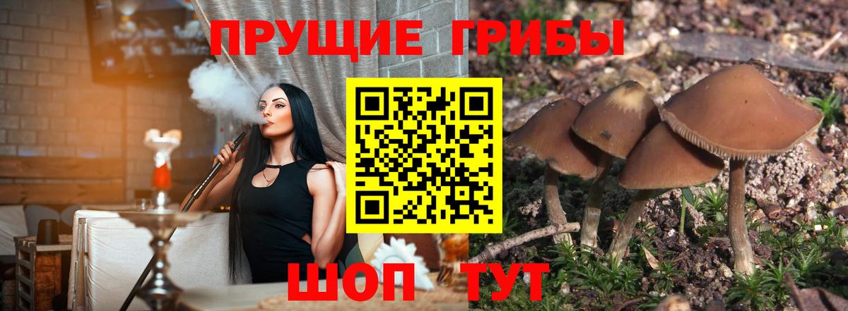 Галлюциногенные грибы прущие грибы Чита
