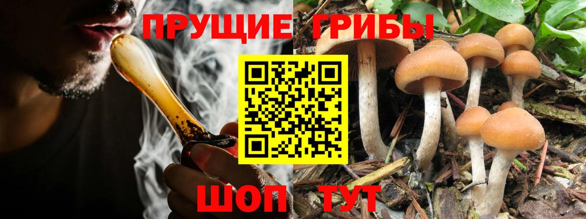 Чита  купить наркоту  Вход с VPN  Галлюциногенные грибы Cubensis 