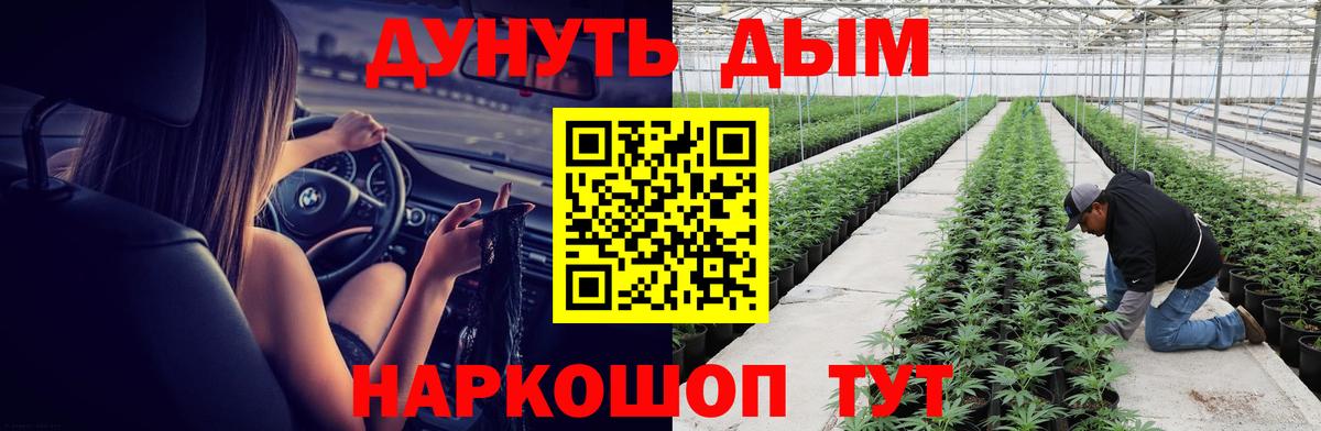 Бошки марихуана Bruce Banner  Канабис конопля  МАРИХУАНА MAZAR  Вход с VPN  Чита 